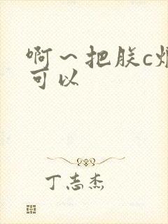 啊～把朕c烂都可以封面