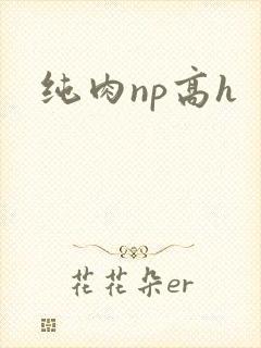 纯肉np高h