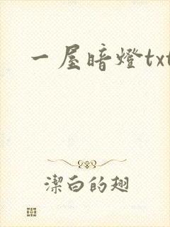 一屋暗灯txt