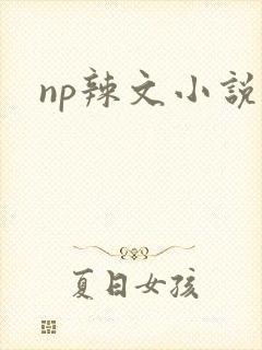 np辣文小说