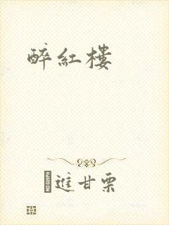 醉红楼封面