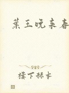 叶玉晚来春封面