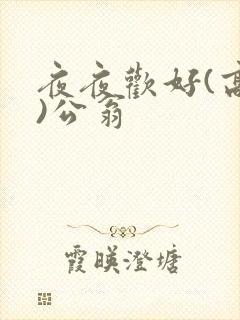 夜夜欢好(高h)公翁