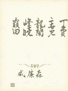 巅峰龙主丁长顺田晓兰免费阅读