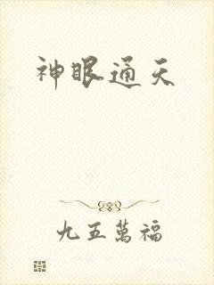 神眼通天封面