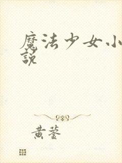 魔法少女小圆小说