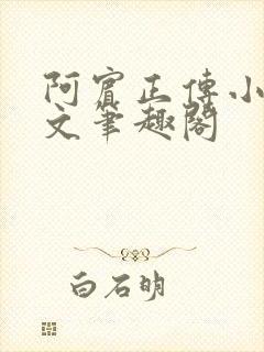 阿宾正传小说全文笔趣阁