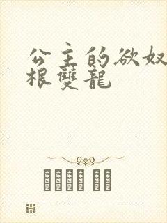 公主的欲奴h四根双龙