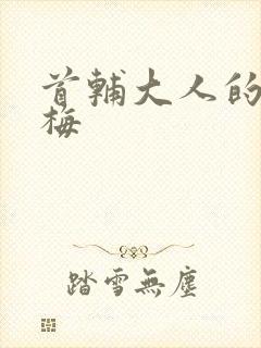 首辅大人的小青梅封面