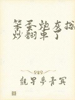 笨蛋炮灰总被爆炒翻车了