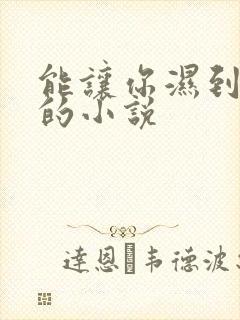 能让你湿到不行的小说