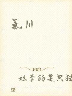 气川封面