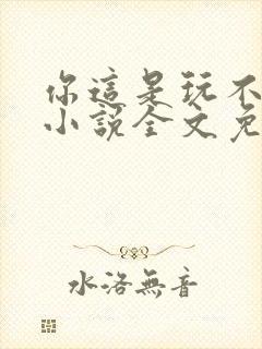 你这是玩不起呀小说全文免费阅读