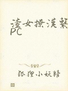 渣女撩汉系统NPC