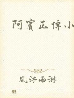 阿宾正传小说封面