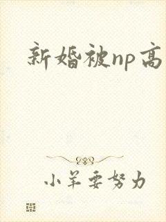 新婚被np高h