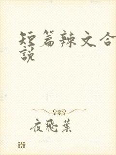 短篇辣文合集小说
