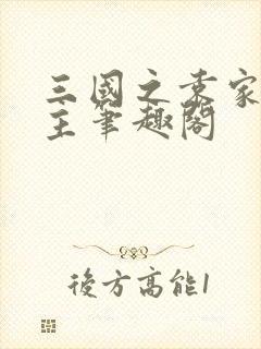 三国之袁家我做主笔趣阁封面