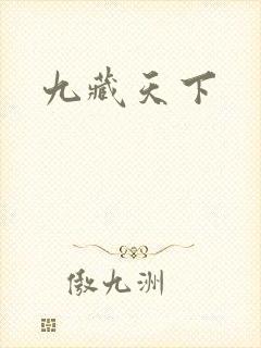 九藏天下