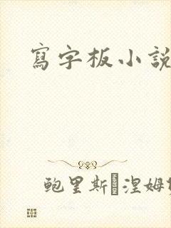 写字板小说