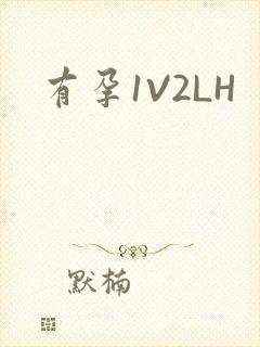 有孕1V2LH