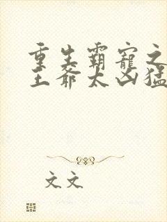 重生霸宠之摄政王爷太凶猛