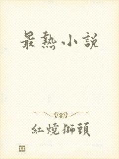 最热小说
