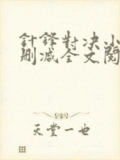 针锋对决小说未删减全文阅读