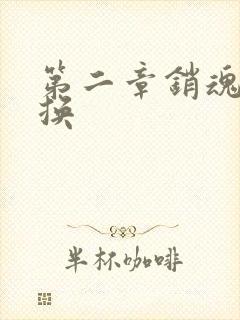 第二章销魂的交换