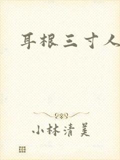 耳根三寸人间封面