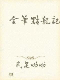金笔点龙记封面