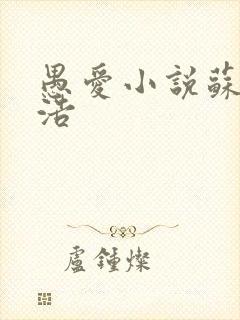 愚爱小说苏倩孙浩