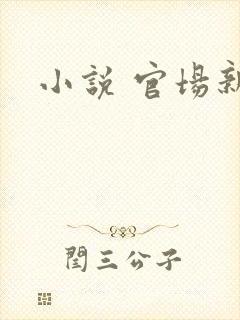 小说 官场新贵封面