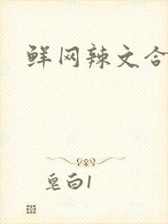 鲜网辣文合集