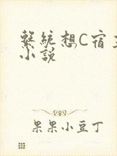 系统想C宿主的小说