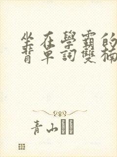 坐在学霸的鸡上背单词双楠封面