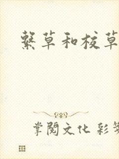 系草和校草封面