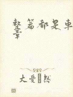 整篇都是车的文章