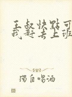 王叔快点可以吗我赶去上班封面