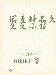 国产精品久久久久久小说