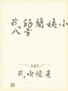 我的兰姨小说第八章