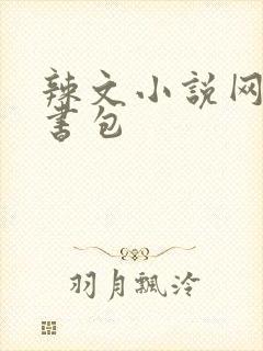 辣文小说网第二书包