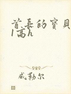 首长的宝贝1v1高h