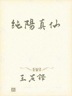 纯阳真仙