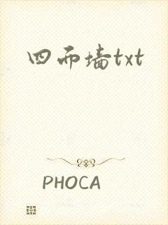 四面墙txt