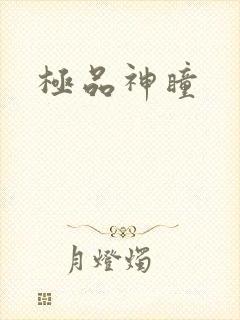 极品神瞳
