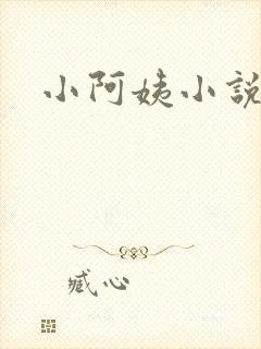 小阿姨小说