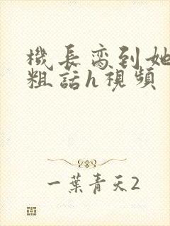 机长脔到她哭h粗话h视频