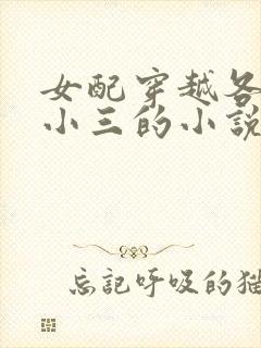 女配穿越各个做小三的小说
