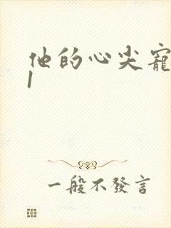他的心尖宠1v1封面